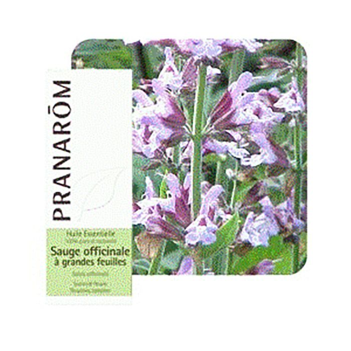 HECT SAUGE OFFICINALE 10ML HECT SAUGE OFFICINALE 10ML