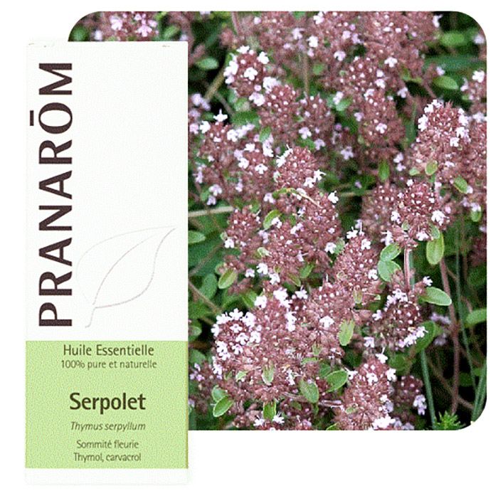 HECT SERPOLET 5ML HECT SERPOLET 5ML