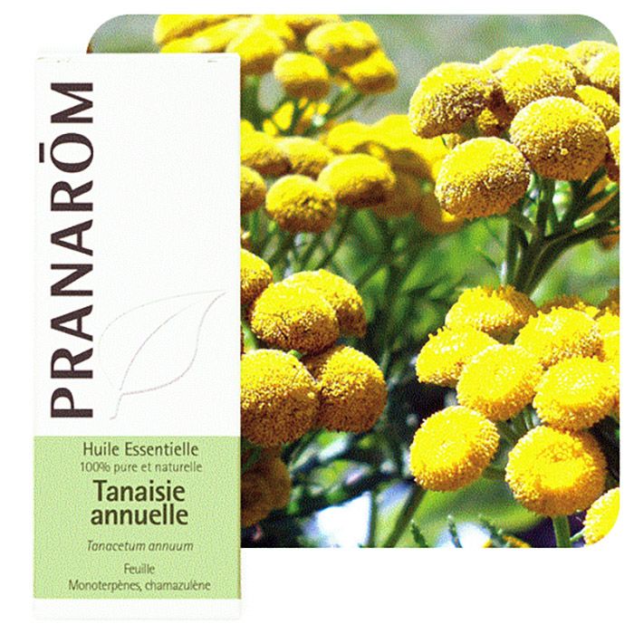 HECT TANAISIE ANNUELLE  5ML HECT TANAISIE ANNUELLE  5ML