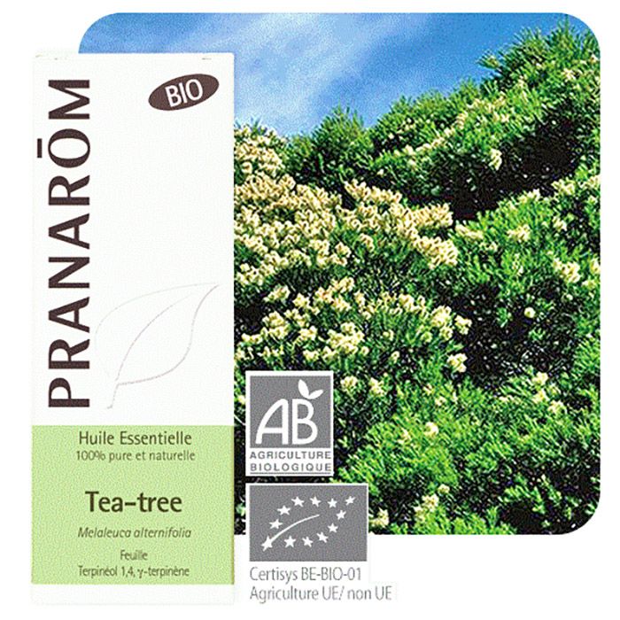 HECT TEA TREE BIO 10ML HECT TEA TREE BIO 10ML