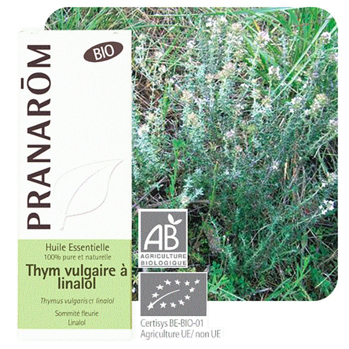 HECT THYM A LINALOL BIO 5ML/CT1 HECT THYM A LINALOL BIO 5ML/CT1