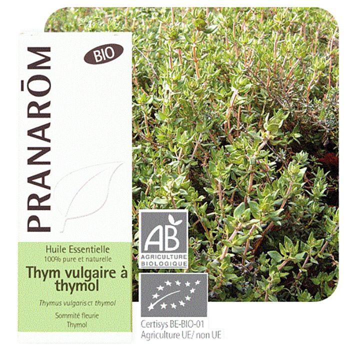 HECT THYM A THYMOL BIO 5ML/CT6 HECT THYM A THYMOL BIO 5ML/CT6