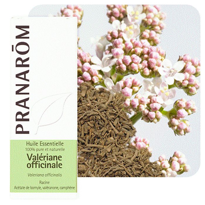 HECT VALERIANE OFFICINALE 5ML HECT VALERIANE OFFICINALE 5ML