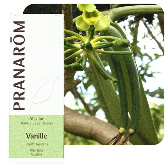 HECT VANILLE 5ML HECT VANILLE 5ML