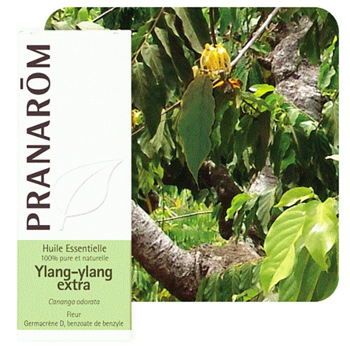 HECT YLANG-YLANG EXTRA 5ML HECT YLANG-YLANG EXTRA 5ML