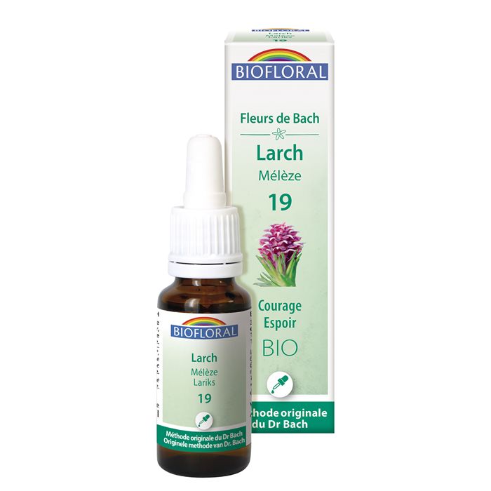 LARCH 19 - 20ML LARCH 19 - 20ML