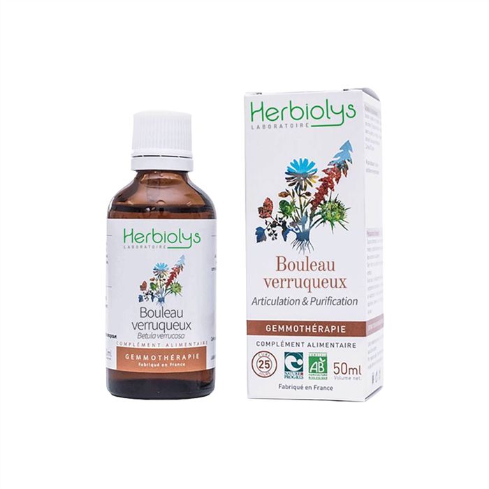 MG BOULEAU VERRUQUEUX-BETULA VERRUCOSA 50ml - PL 2716/12 MG BOULEAU VERRUQUEUX-BETULA VERRUCOSA 50ml - PL 2716/12