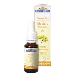 MUSTARD 21 - 20ML