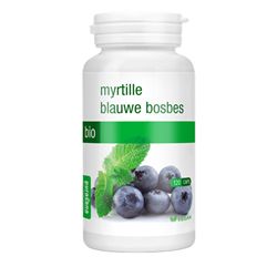 MYRTILLE  FEUILLE 120X320MG - PL176/345