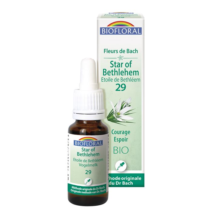 STAR OF BETHLEHEM 29 - 20ML STAR OF BETHLEHEM 29 - 20ML