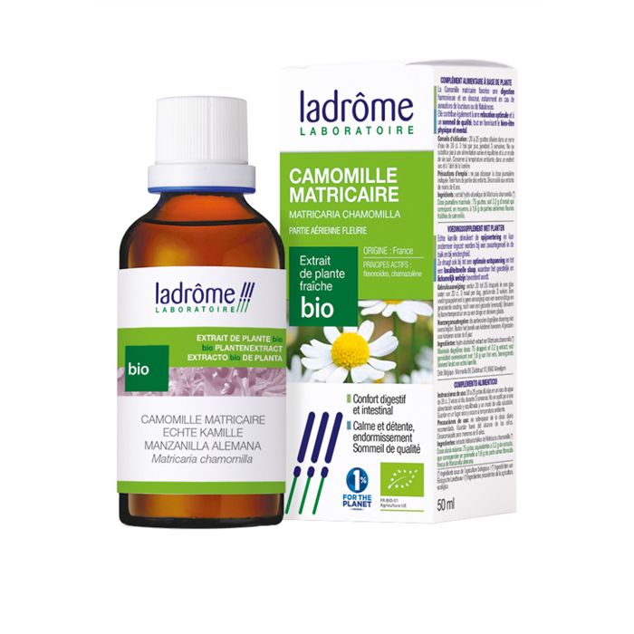 TM CAMOMILLE MATRICAIRE 50ML - PL 47/158 TM CAMOMILLE MATRICAIRE 50ML - PL 47/158