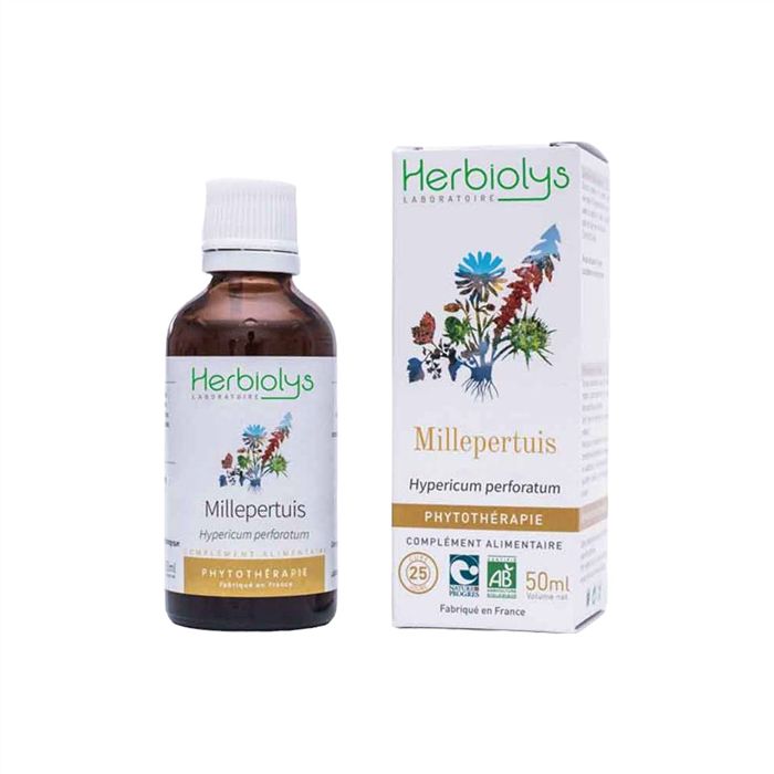 TM MILLEPERTUIS-HYPERICUM PERFORATUM 50ML-PL 2716/64 TM MILLEPERTUIS-HYPERICUM PERFORATUM 50ML-PL 2716/64