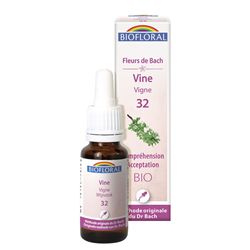 VINE 32 - 20ML