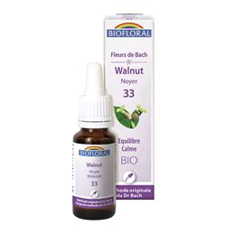 WALNUT 33-20ML