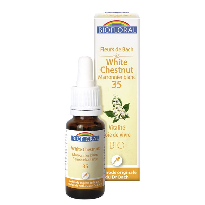 WHITE CHESTNUT 35 - 20ML WHITE CHESTNUT 35 - 20ML