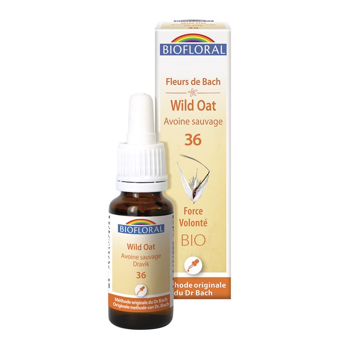 WILD OAT 36 - 20ML WILD OAT 36 - 20ML