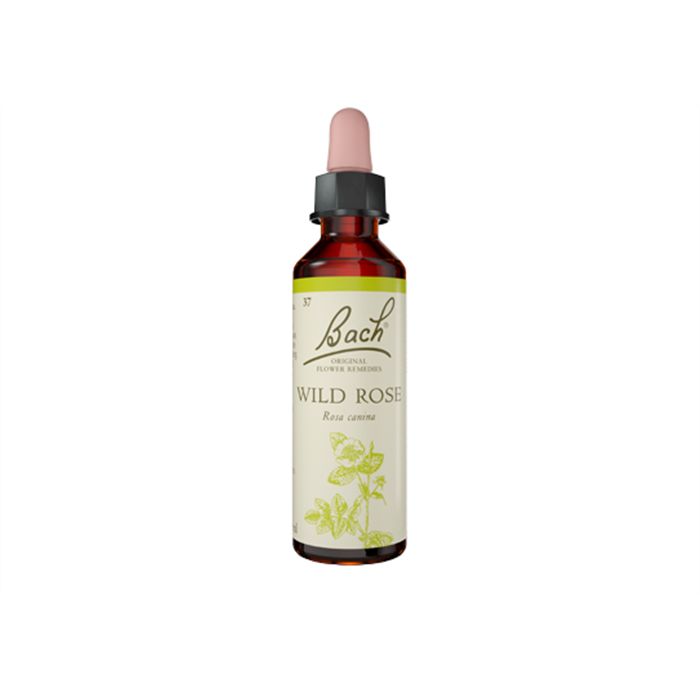 WILD ROSE 20ML N°37 WILD ROSE 20ML N°37
